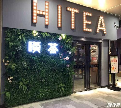 乐球直播